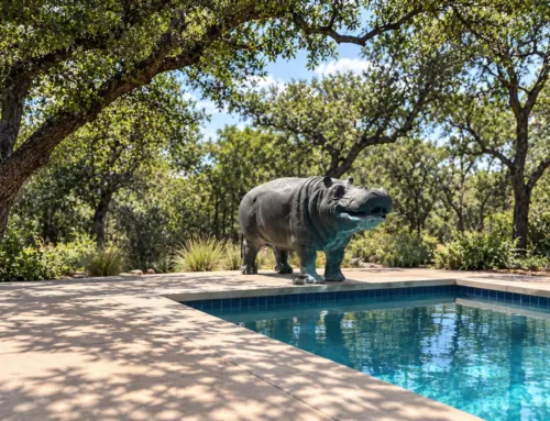 Welcome to Hippo Campus